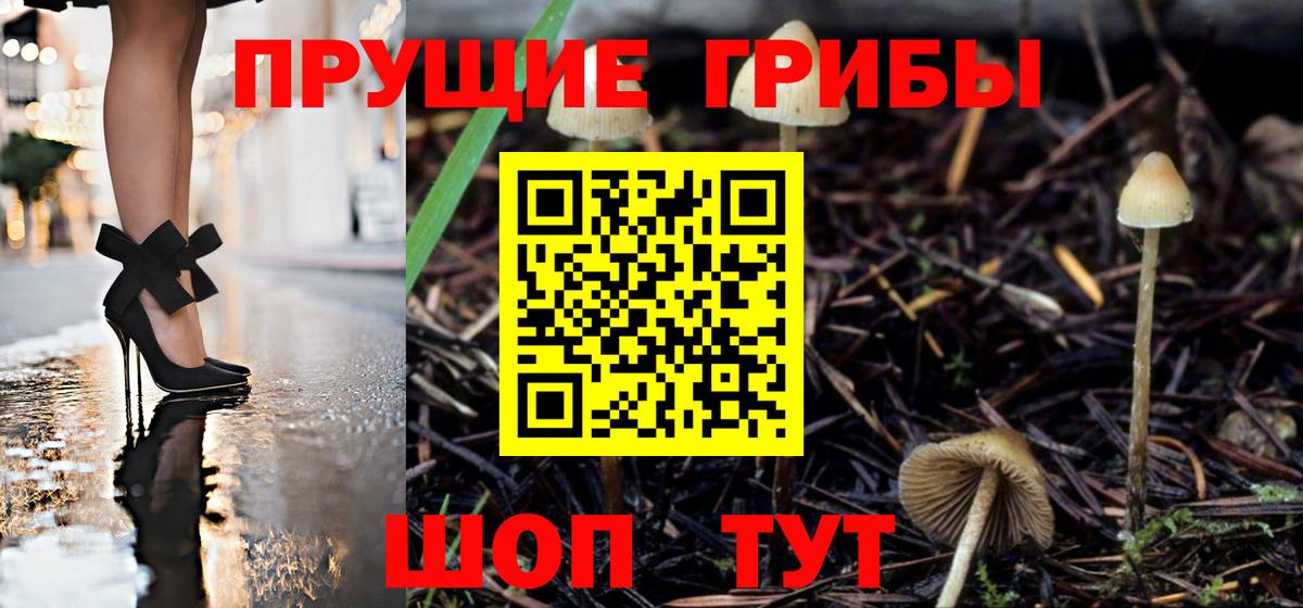 Псилоцибиновые грибы ЛСД  Вход с VPN  Галлюциногенные грибы MAGIC MUSHROOMS  дарнет шоп  Павловский Посад 